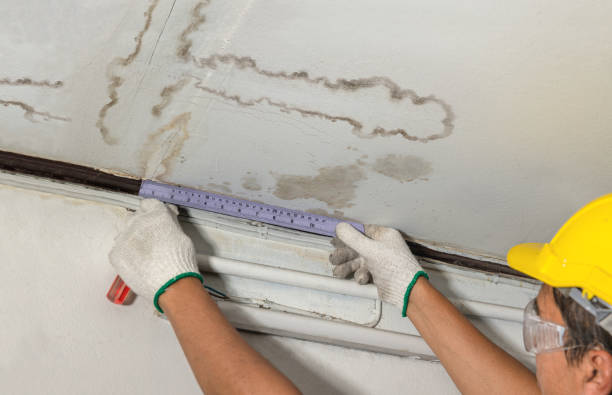 Affordable Water Damage Repair solutions in Sarahsville, OH